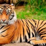 খাগড়াছড়িতে অপহৃত ৫ শিক্ষার্থীর মুক্তির দাবিতে বিক্ষোভ মিছিল
